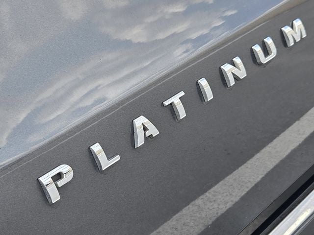 2020 Ford Expedition Max Platinum