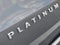2020 Ford Expedition Max Platinum