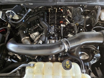 2023 Ford Expedition XLT