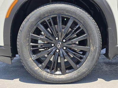 2024 INFINITI QX60 Autograph